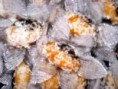 /album/doces/olho-de-sogra-caramelizado-jpg/